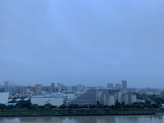 雨上がりの青白い朝「ありがとう」