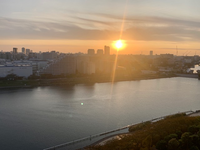 澄み渡った空にパワフルな太陽☀️「一期一会」