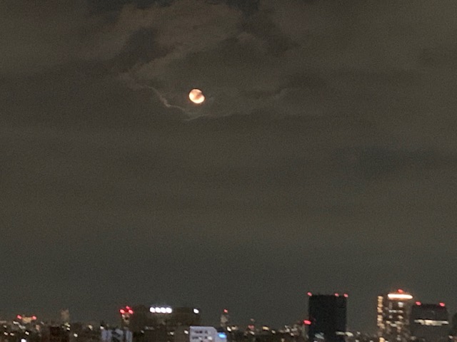 夜空にぽっかりお月様🌕