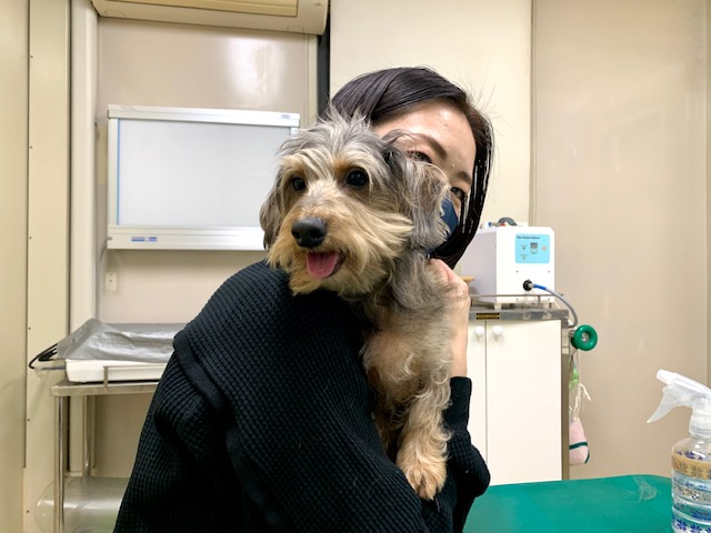 まーちゃん通院中🏥