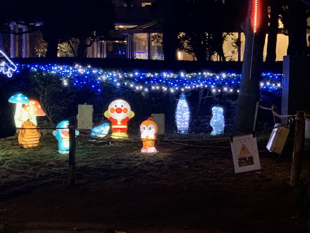 クリスマスイルミネーションに照らされて夜のお散歩🎄