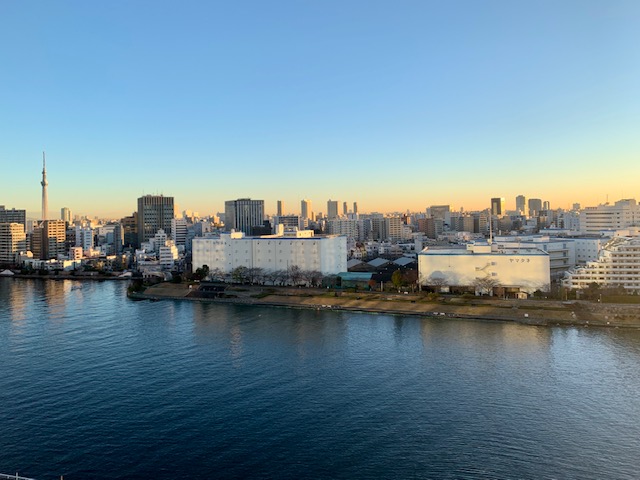 大きなお日さま清々しい朝「たおやかに受け流す」