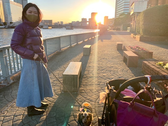 太陽に向かって走る風の子まーちゃん