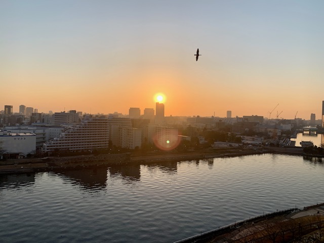 太陽と鳥「自分で決める」