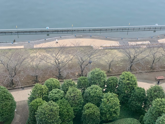 雨上がり散歩を楽しまれる朝「親切とお節介の境界」