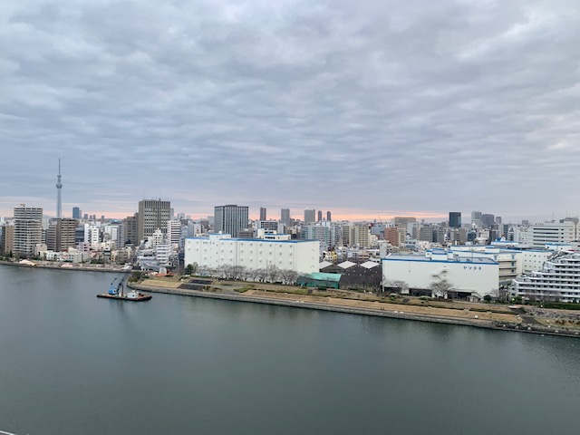 淡い朝日「得意分野」