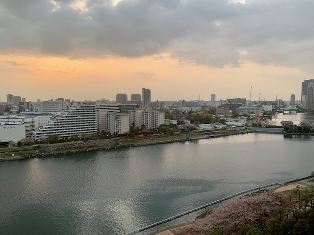 パワフルなお日さま「人との関わり」