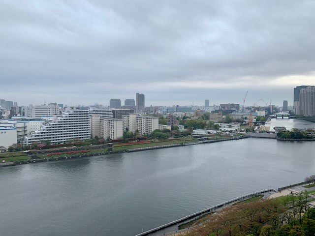 雨上がりの静かな朝「今日できることからやる」