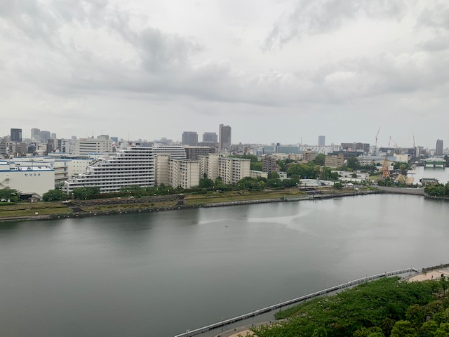 しとしと雨の静かな朝「芯の強さ」