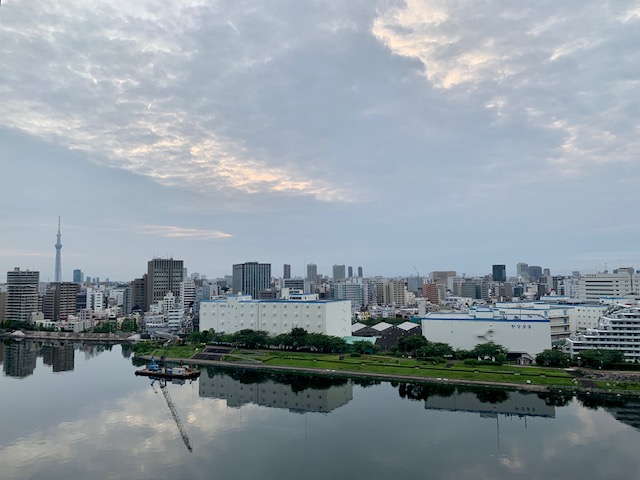 薄っすらと広がる雲「何が人にできるか」