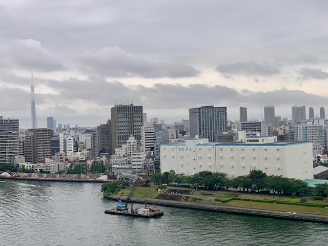 雲に覆われた静かな朝「あなたはどちらは？」