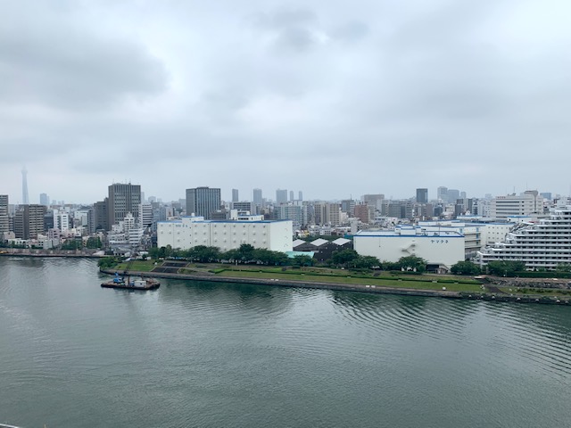 穏やかな曇り空「どうするか」