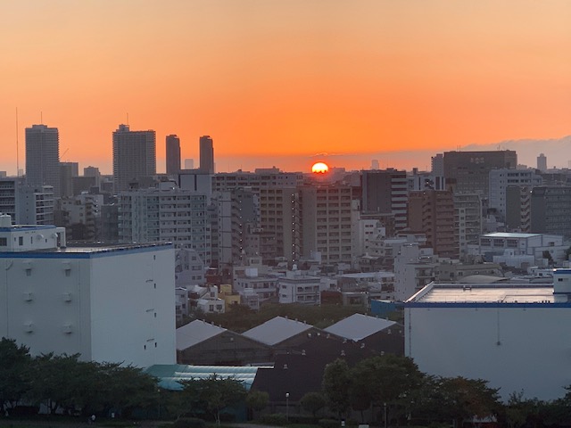 真っ赤なお日さま「本気で楽しもう」