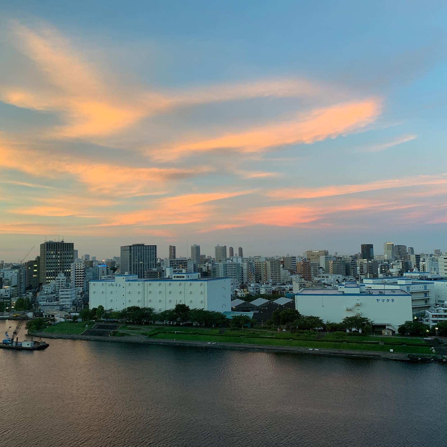 夕方も綺麗な空