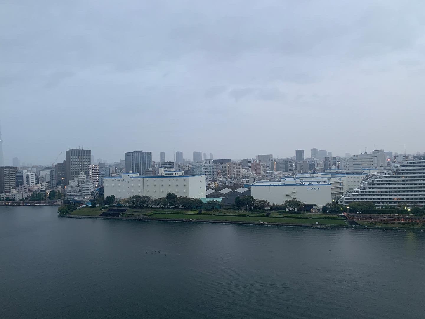 小雨模様の寒い朝「できない理由を 探すのはもうやめよう」