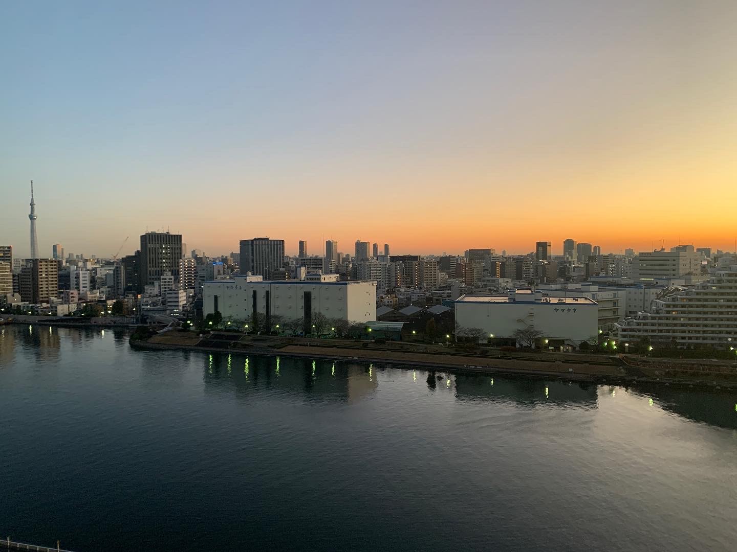 今日パワー全開「頑張らないのも努力」