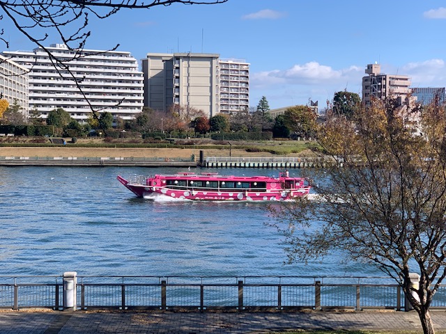 お昼のお散歩ーひと休み