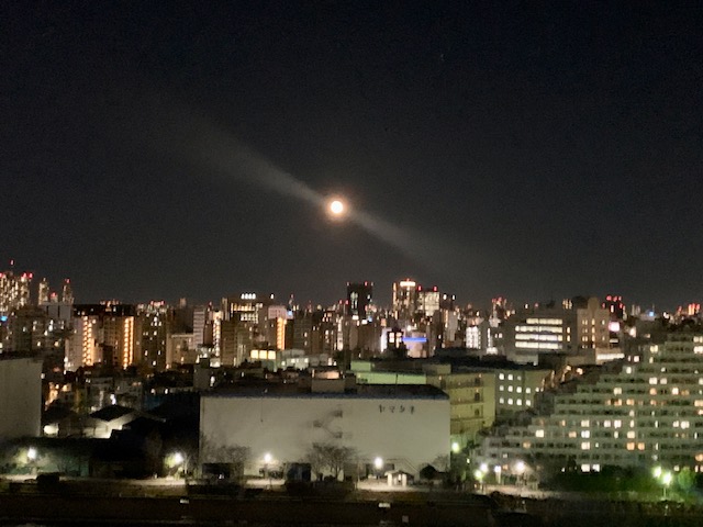 今夜も綺麗なお月様