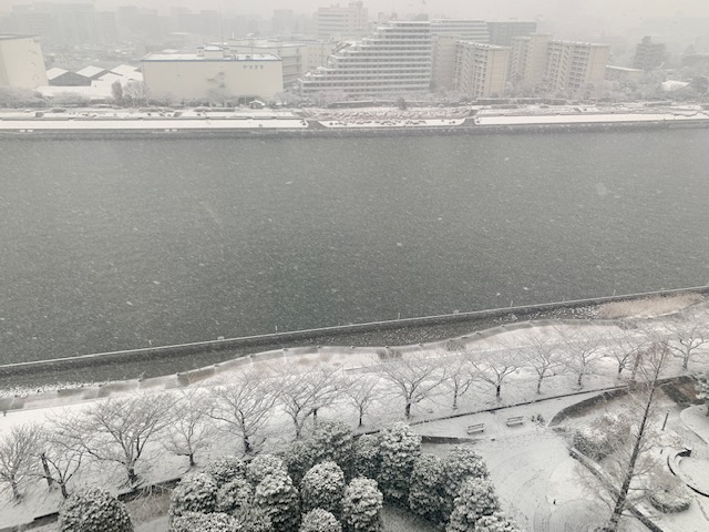 いつもの風景が真っ白に