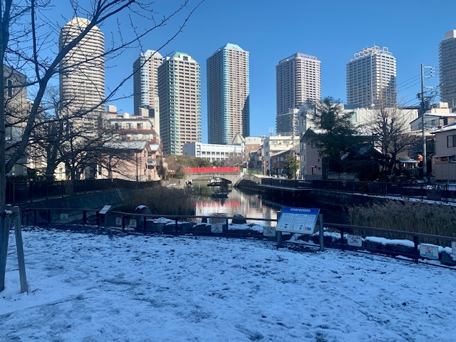 都心の大雪