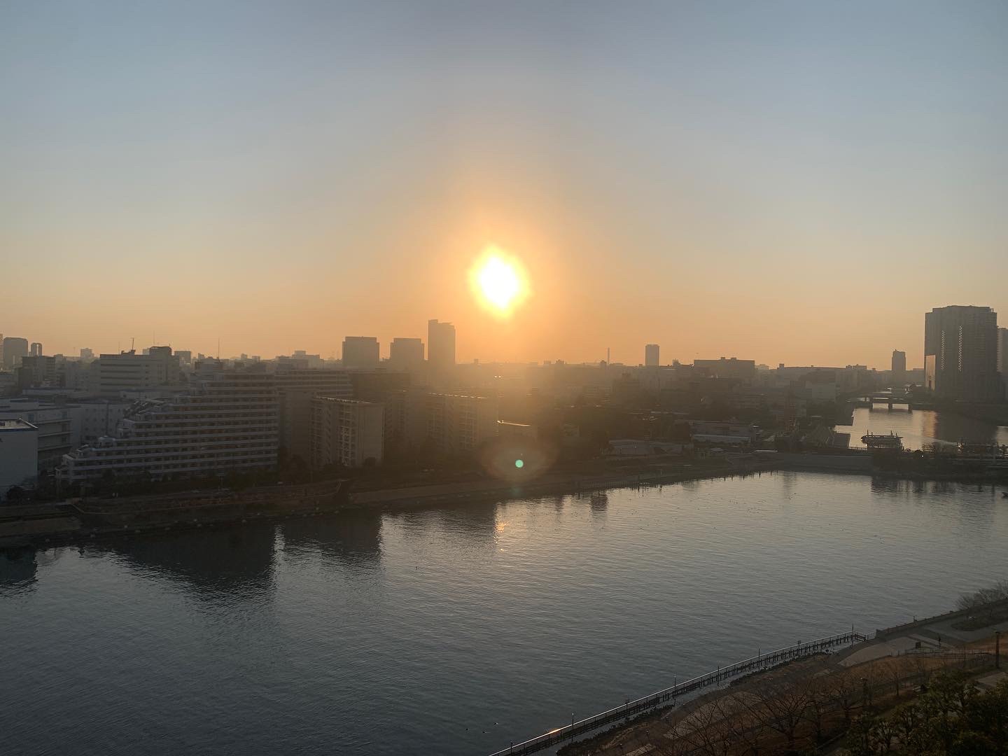 東の空に大きなお日さま「努力できることが才能」