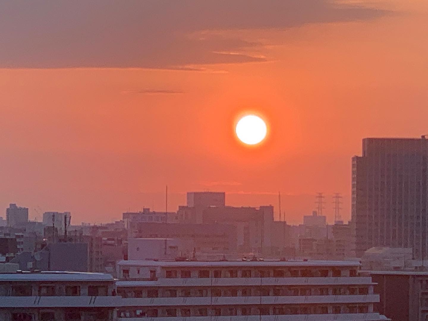 まん丸で真っ赤なお日さま「決めるのは自分」