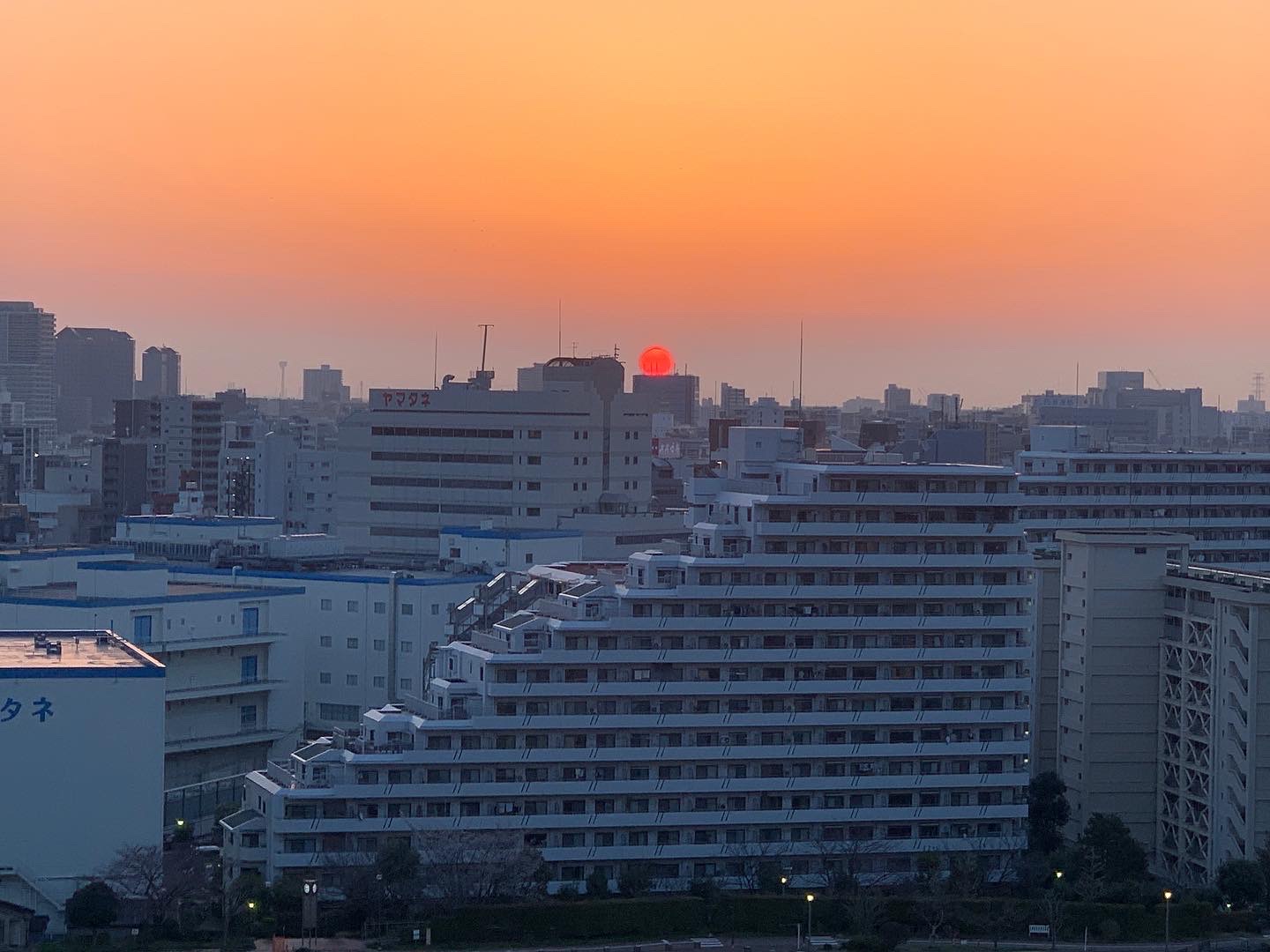 まん丸で真っ赤な朝陽「今日やる」