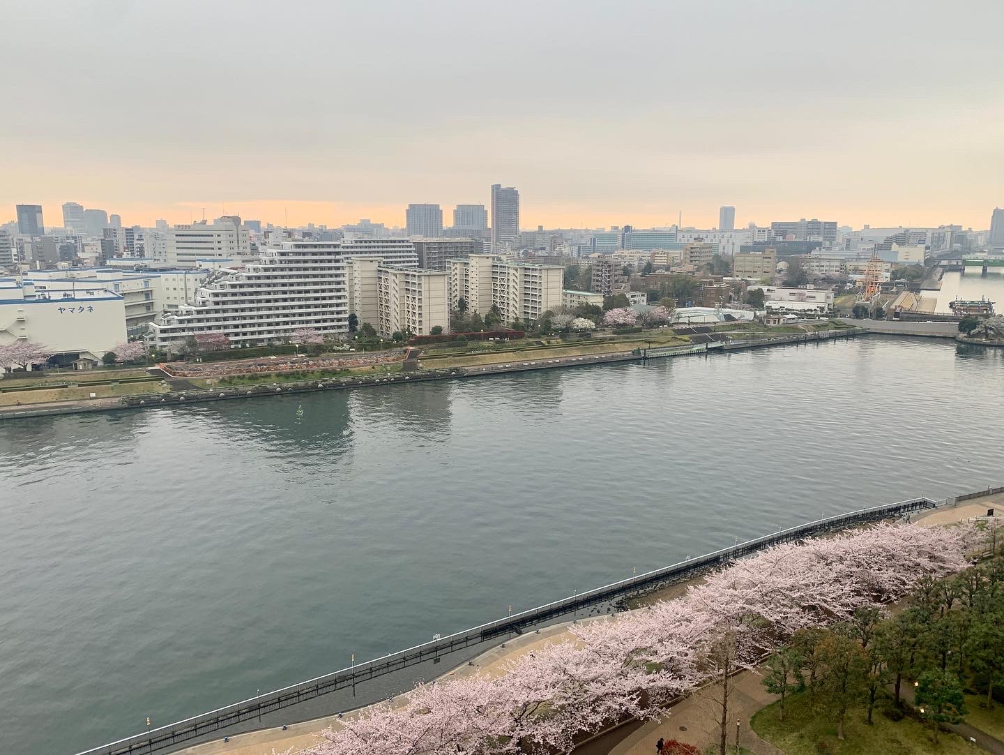 明るい曇り空「すみませんをありがとうに」