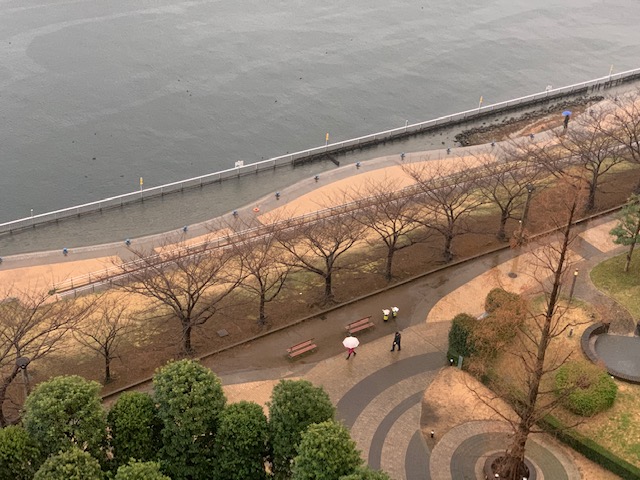 春雨の朝から快晴に「無理しない」