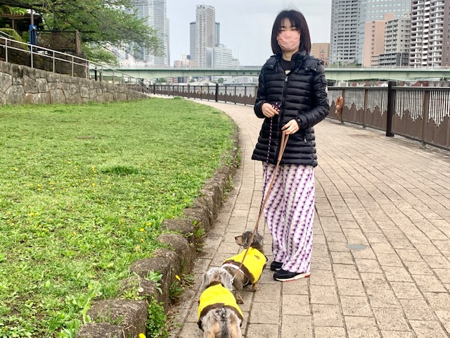 夕方のお散歩とまーちゃんの楽しい仲間たち