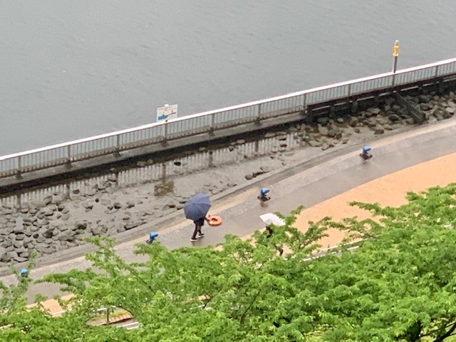 静かな雨の朝「努力と継続」