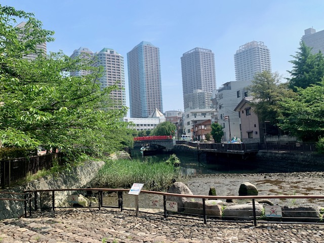 水と緑豊かな公園