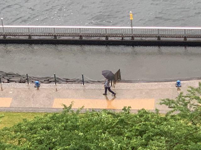 小雨降る朝「穏やかな人」