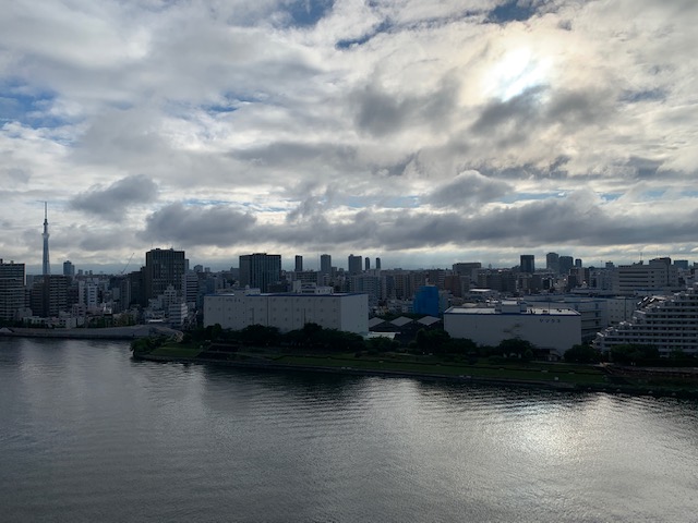 青空と大きな朝陽と鳥の囀り