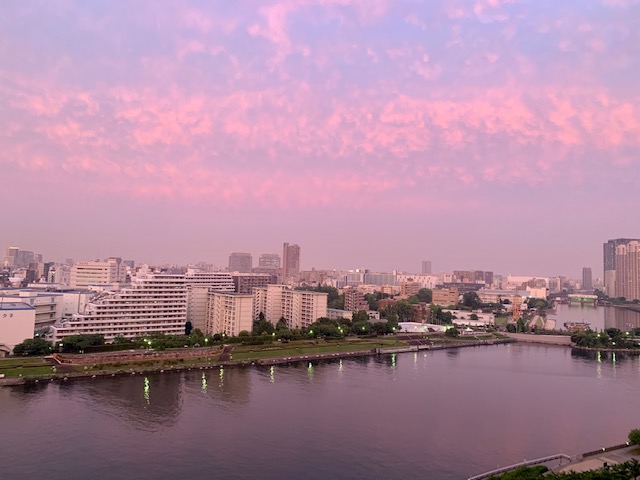 綺麗な夕焼け