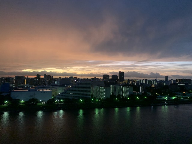 台風の朝「そっと離れるのも優しさ」