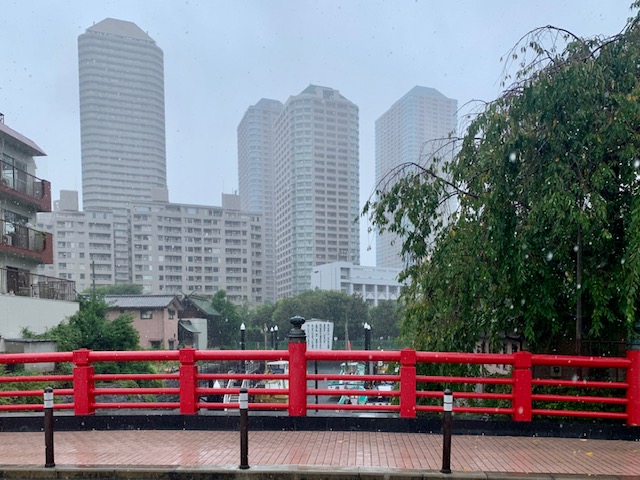 雨でも元気に