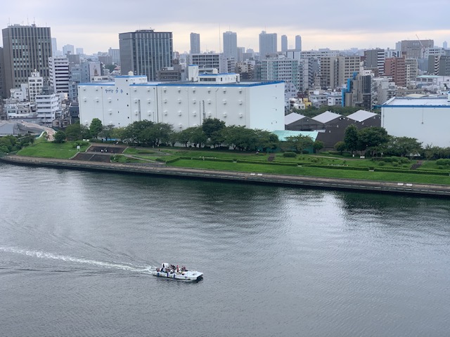 静かな朝「生きる力」