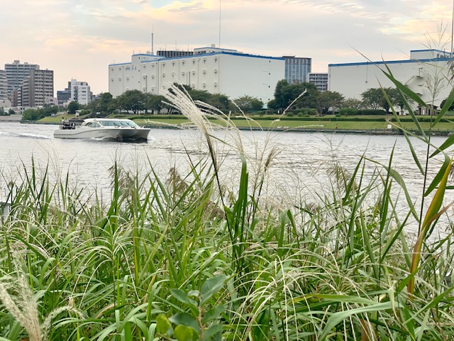 仕事帰り夕暮れのお散歩