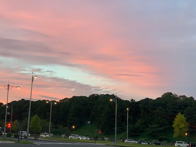 ピンクに染まる皇居の空