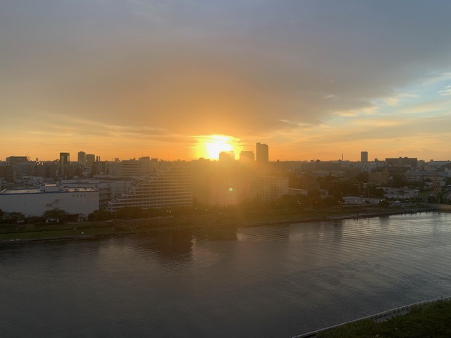 綺麗な朝陽「遊び心を大切に」