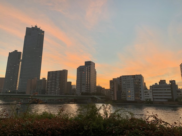 佃リバーシティの夕暮れ