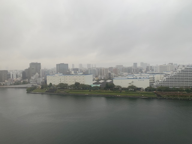 霧雨の肌寒い朝「祝福」