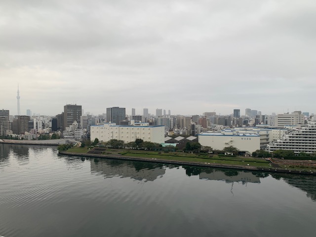 曇りの夜明け「興味あること」