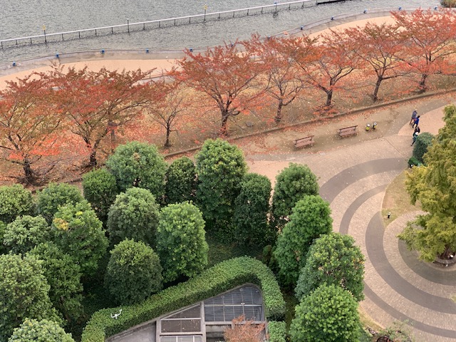 すっかり紅葉「自分を労ってあげて」