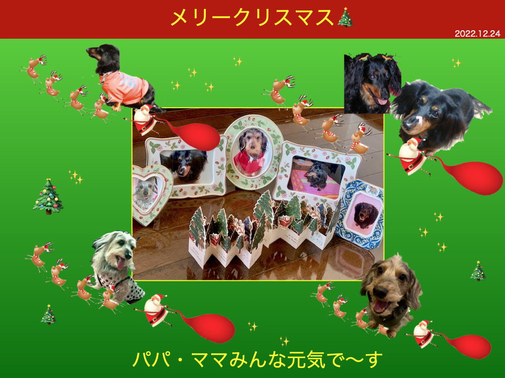 もしもしお手紙ー Christmas Version