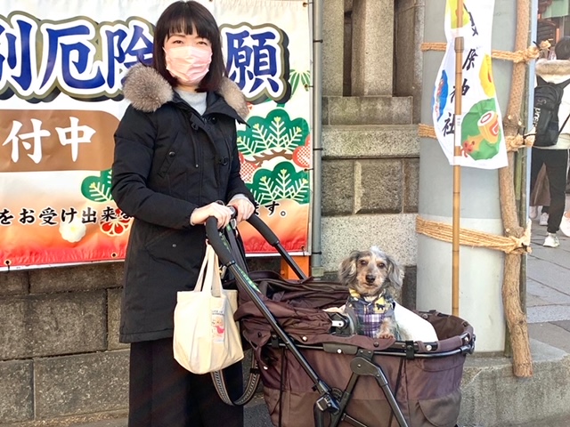 波除神社と元旦のお散歩