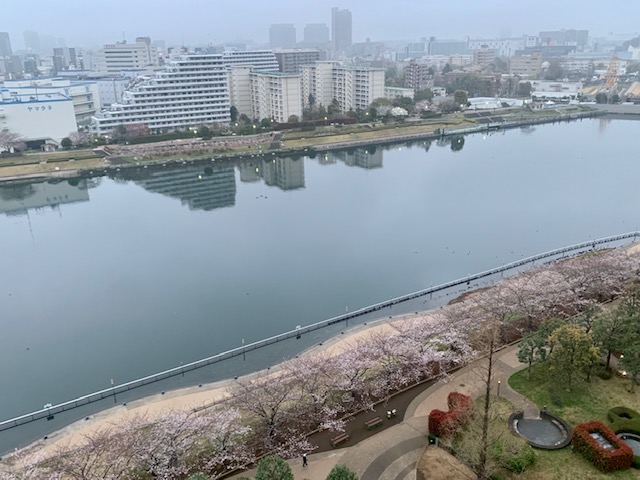 川沿いの桜が満開「話し方には人格が表れる」