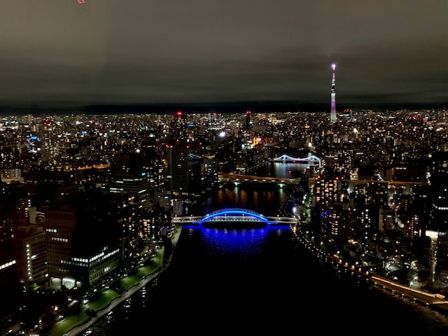 53階からの夜景