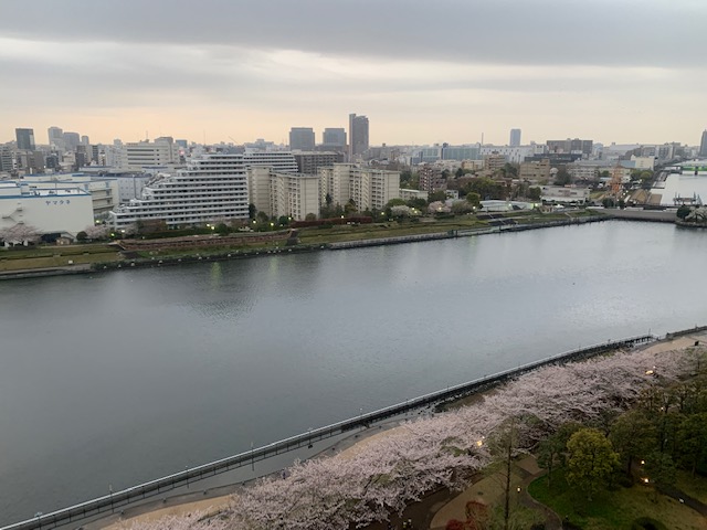 花冷え花曇り「口が硬いこと」